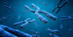 Read more about the article Hallmark 2: Telomere Attrition